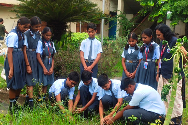 vidyaniketancbsechandrapur